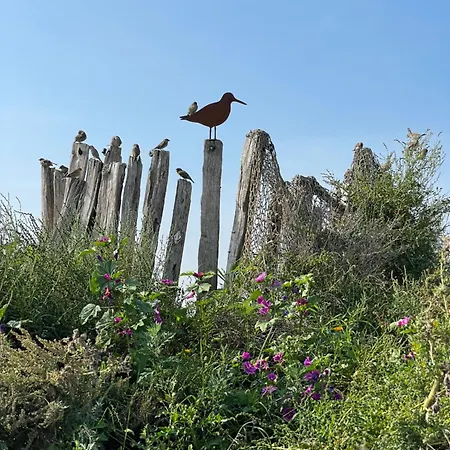 Carolinensiel/harlesiel Lejlighed