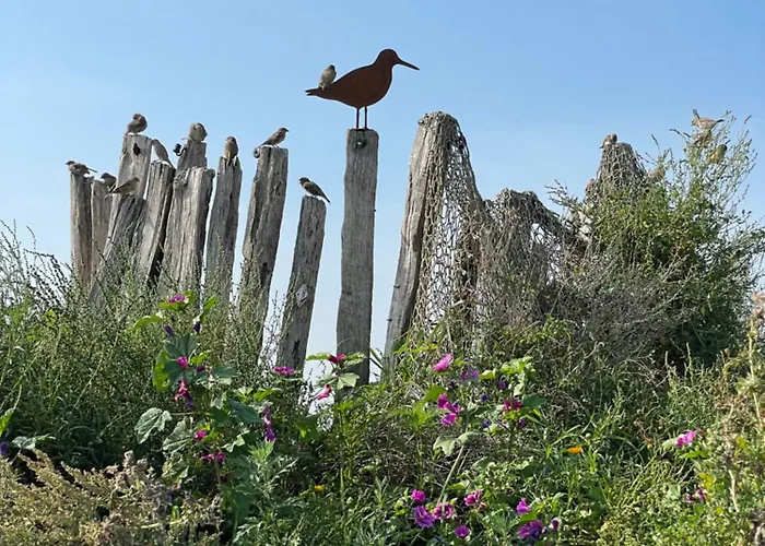 Carolinensiel/harlesiel Apartman