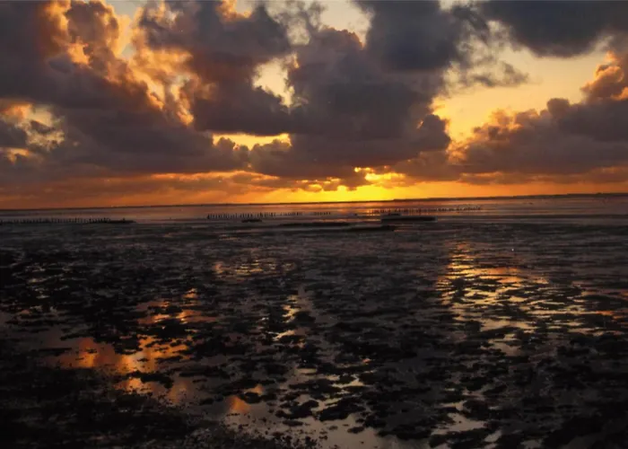 Carolinensiel/harlesiel Apartman